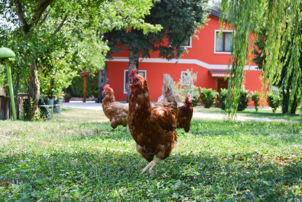 Agriturismo Ca' La Pergola Lugagnano Exterior foto